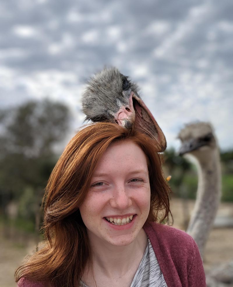 My wife's first ostrich encounter