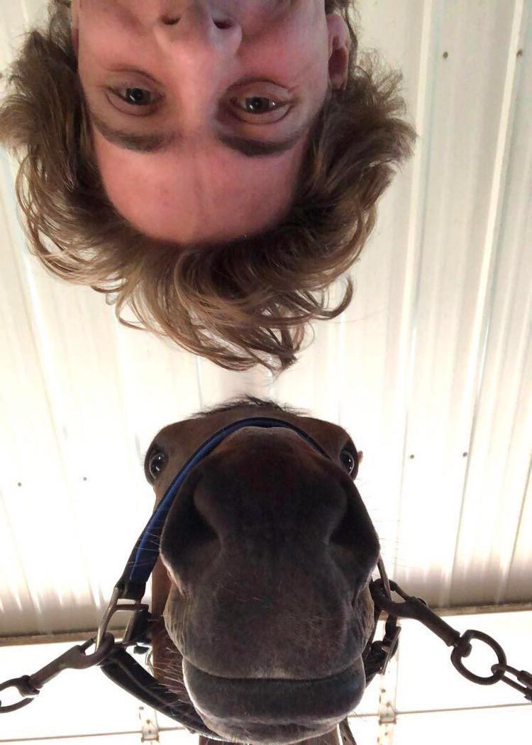 The best angle for a photo with a horse