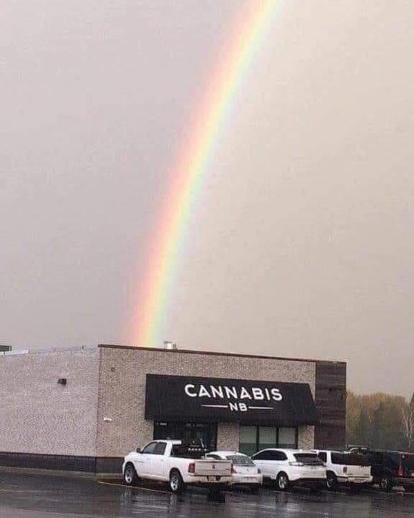 I finally found the pot at the end of the rainbow!