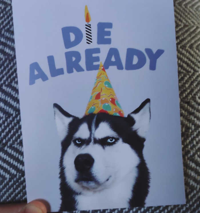 My 4 year old niece can't read and bought me this birthday card because it featured 'A cute dog with a party hat'