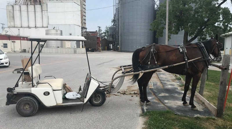 The Amish in my home town are evolving