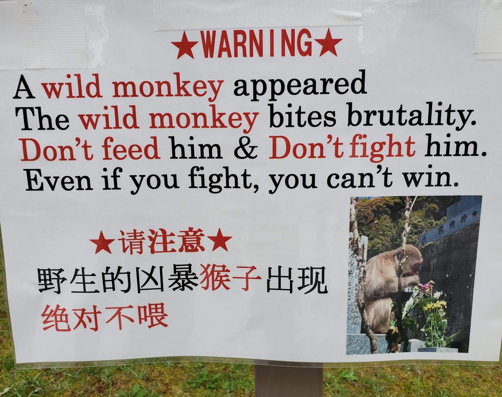 Don't fight the monkey!