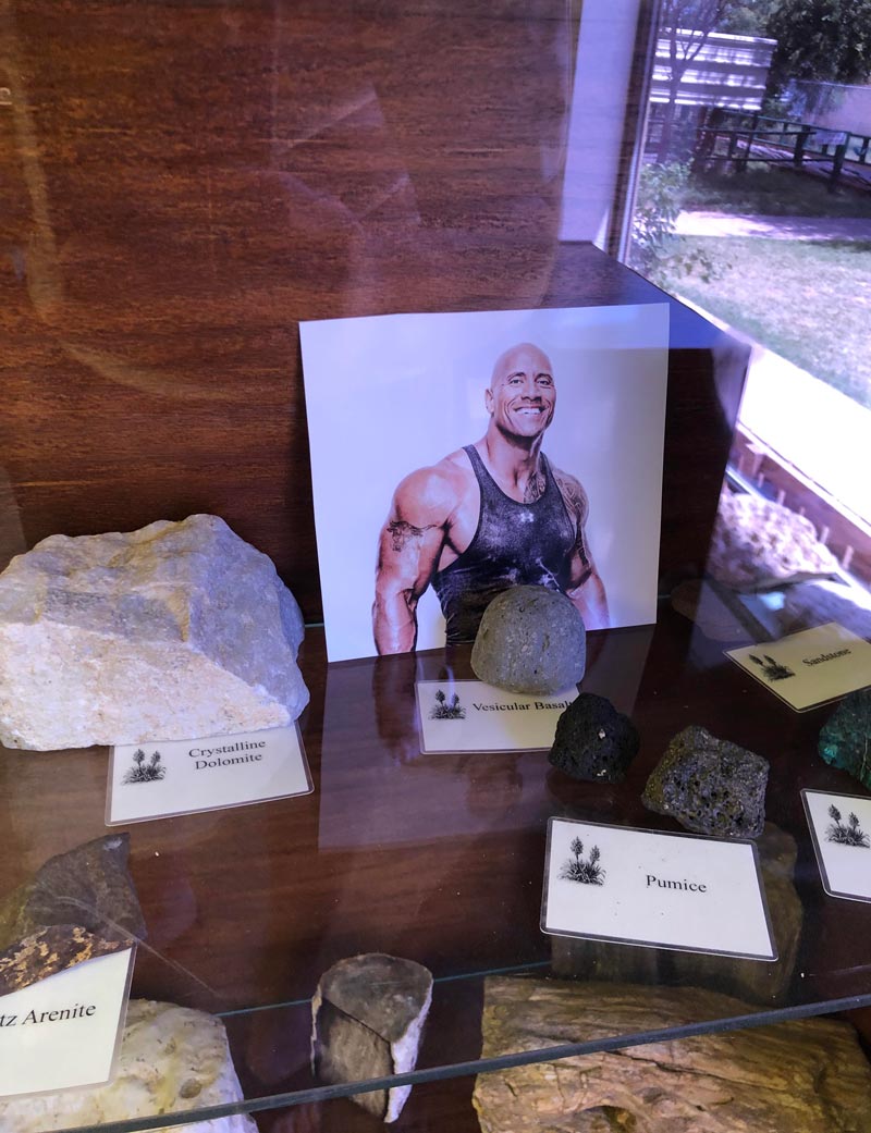 There's a photo of Dwayne Johnson in the rock section of this nature center