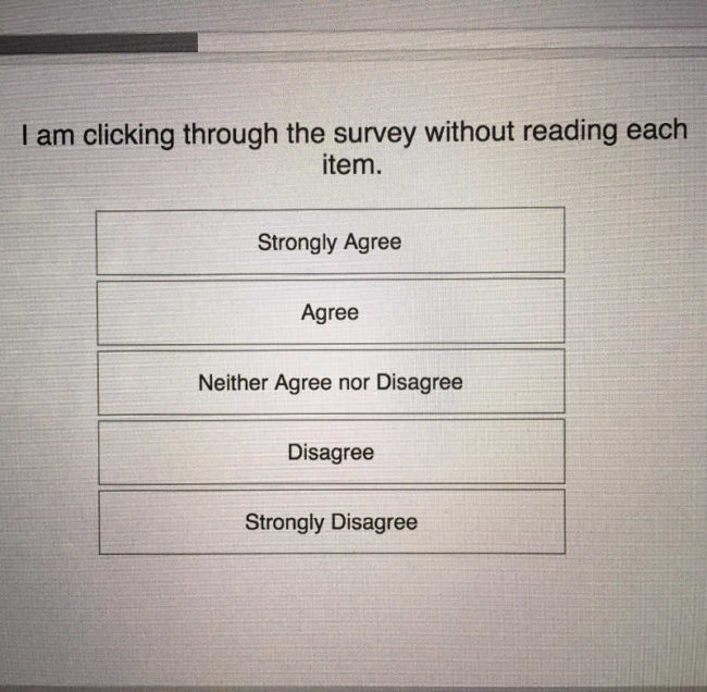 Workplace survey. They thought they could pull a fast one on me