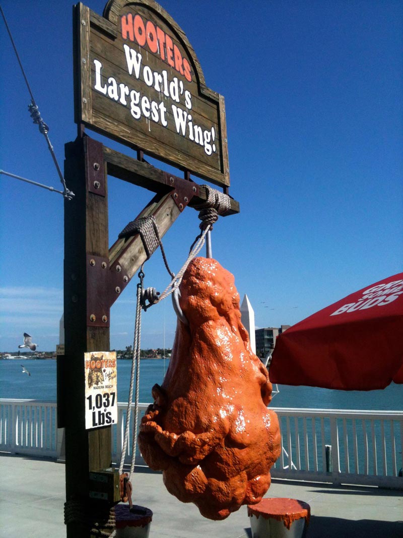 World's largest chicken wing caught off the coast of Florida