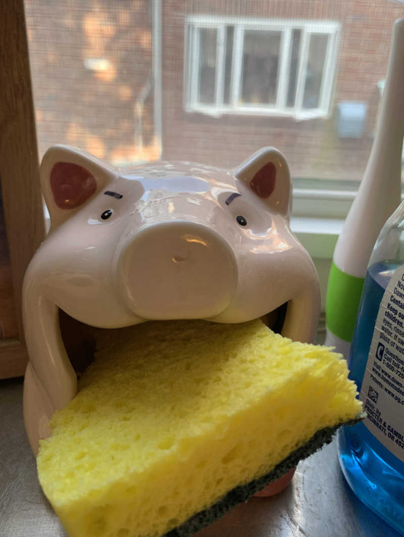 It’s been 1 week since I added angry eyes to our sponge holder. Seeing how long it takes the wife to notice