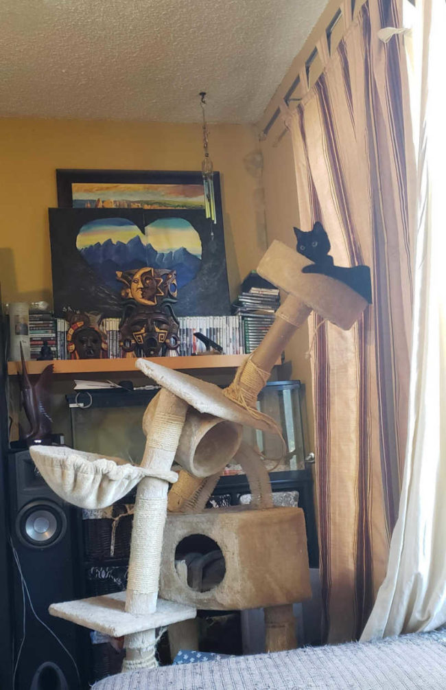 Had to order a new cat tree today