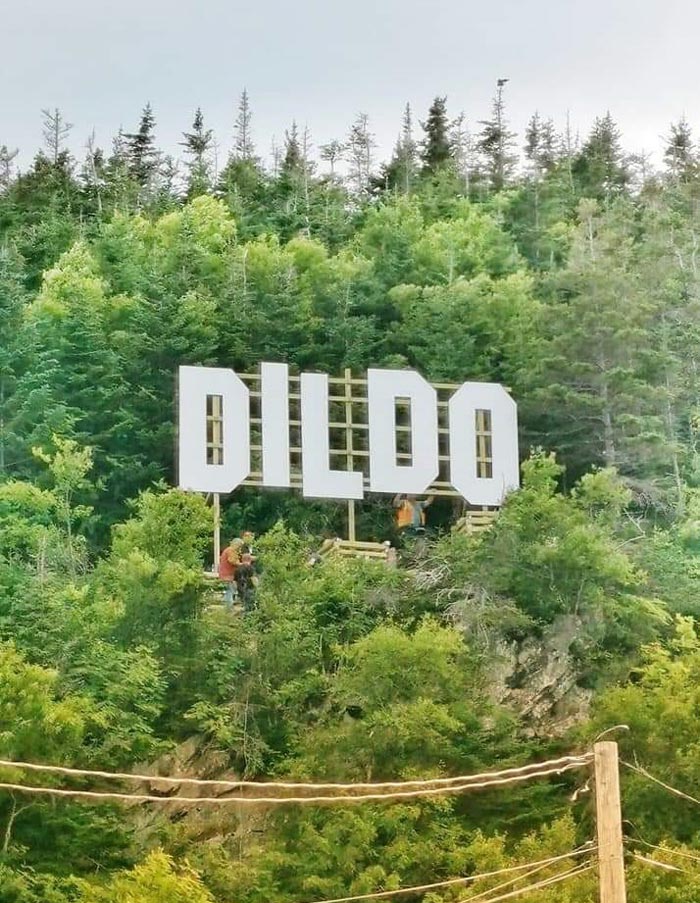 The town of Dildo, Newfoundland, Canada just erected a new sign