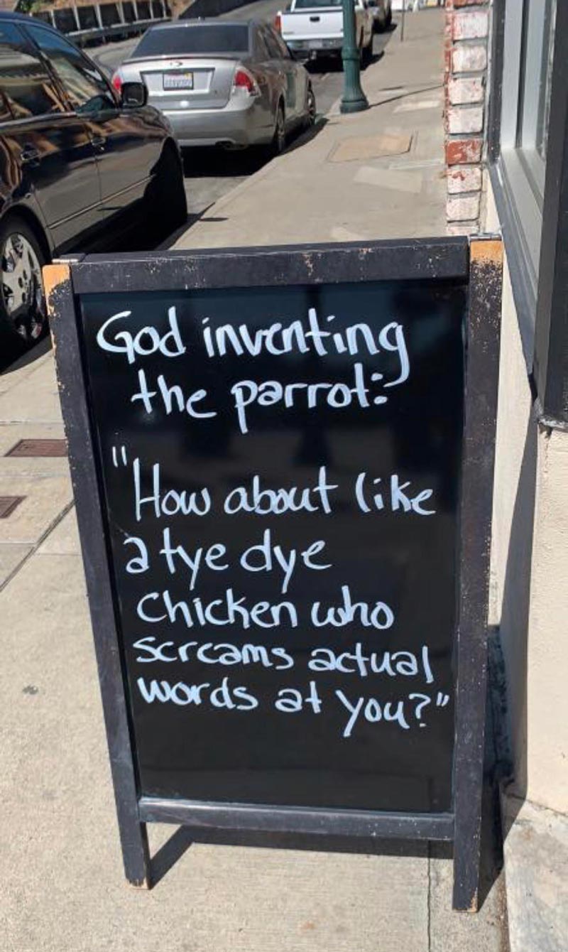 God inventing the parrot..