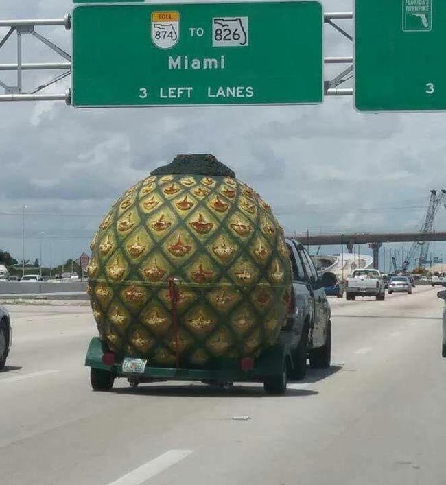 Hurricane Dorian is about to hit Florida. You know it's serious when Spongebob is evacuating