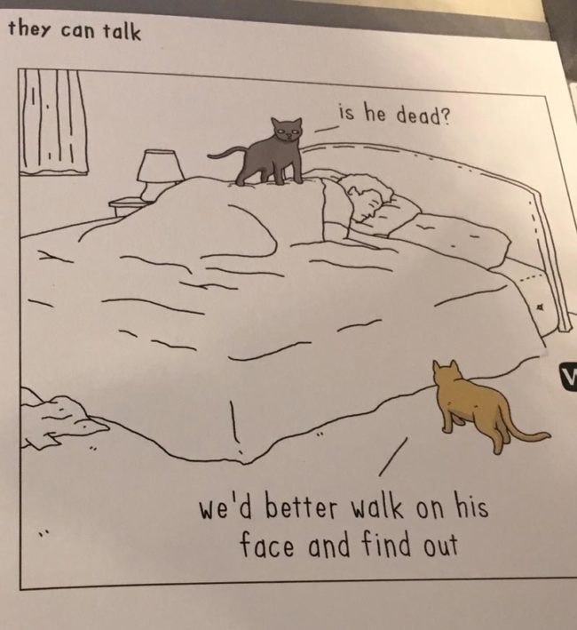 If cats could talk