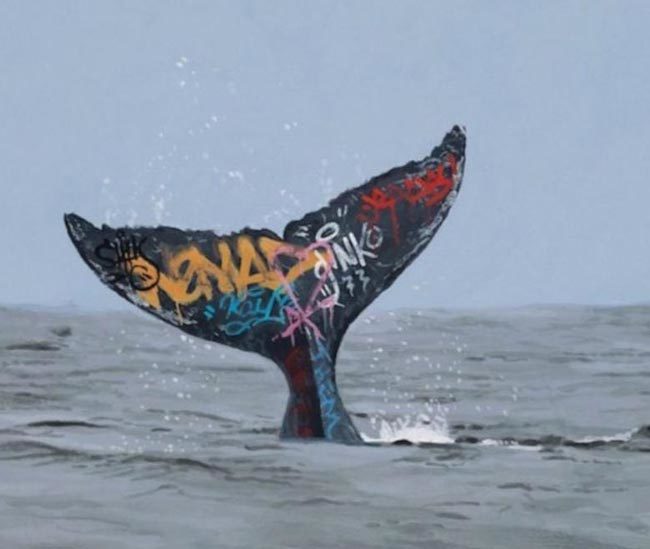 Marine biologists are now tagging whales, hoping to better understand their movements