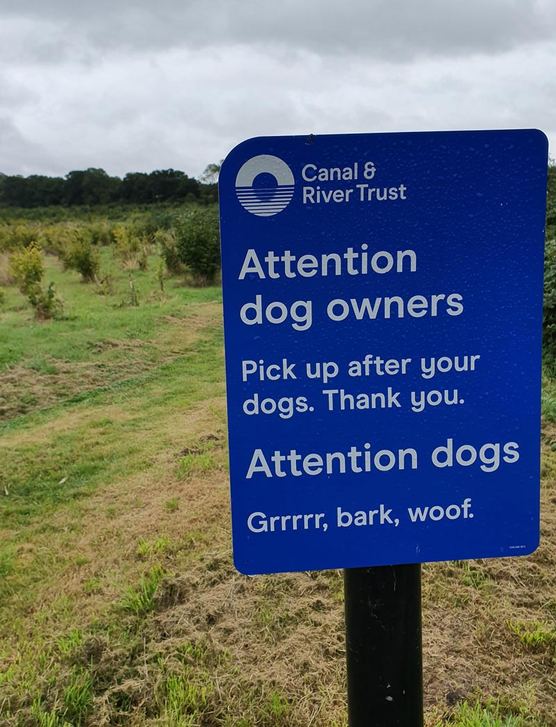 Attention dogs...