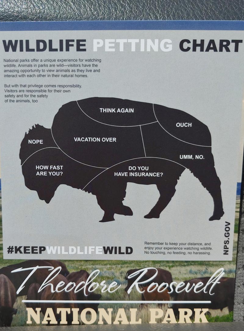 Bison Petting Chart