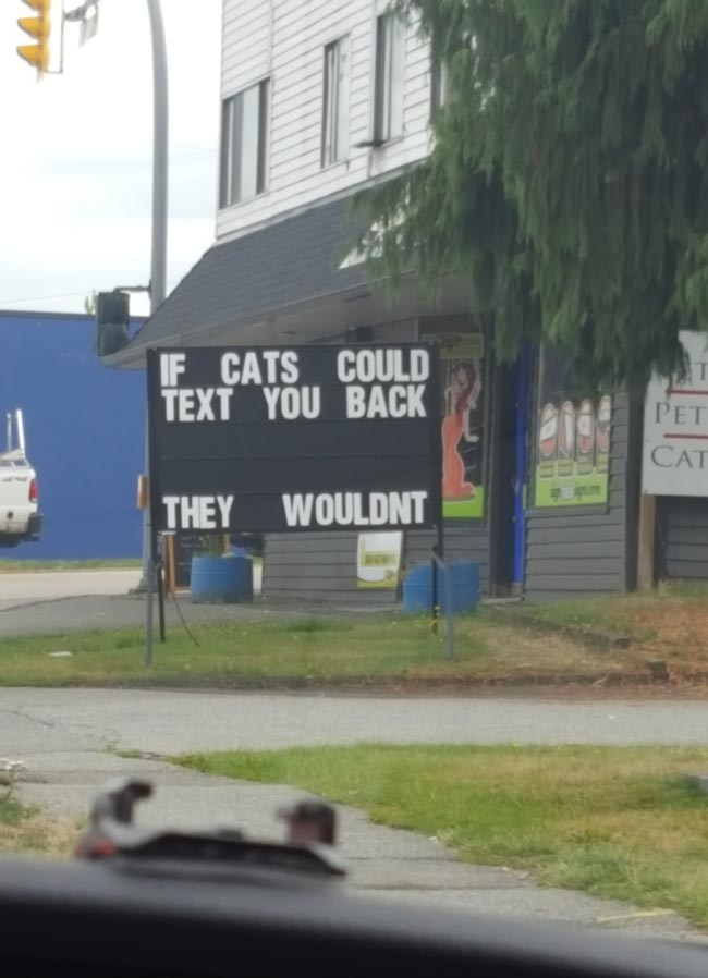 On the billboard outside our local Vet's office
