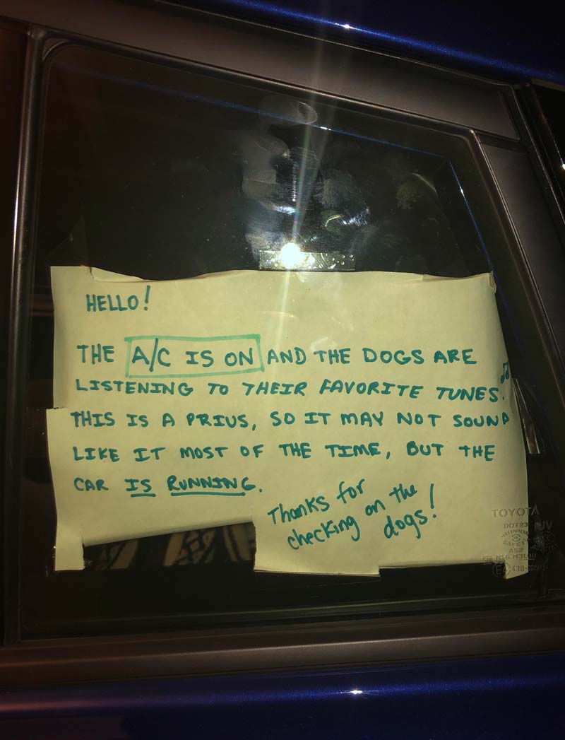 My cousin’s sign on his Prius