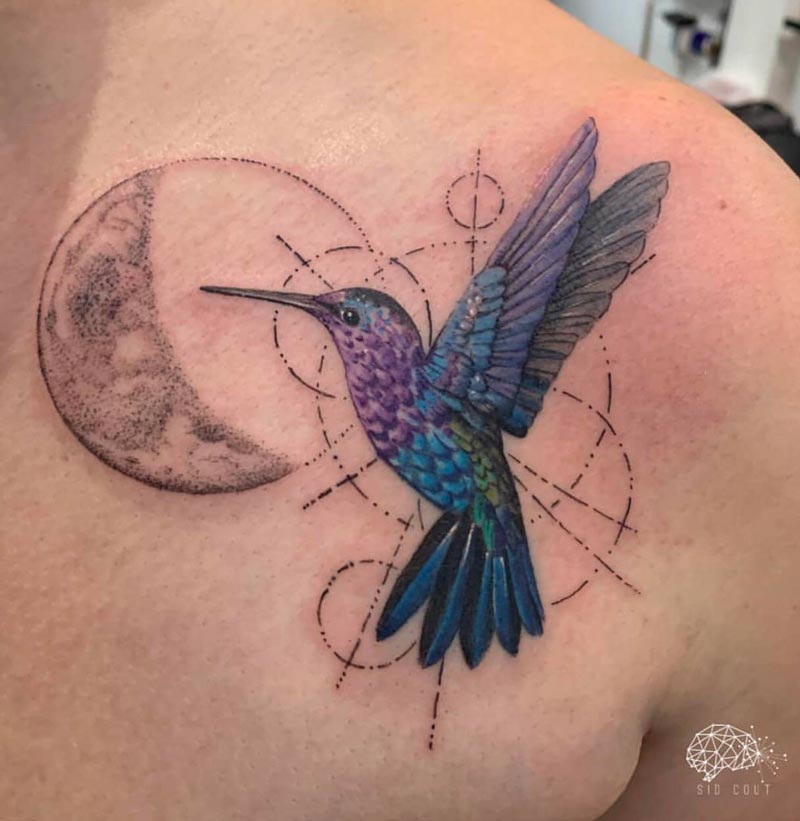 Hummingbird and the moon phase
