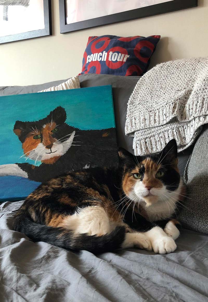 Tried one of those “paint your pet” classes. My cat is not impressed