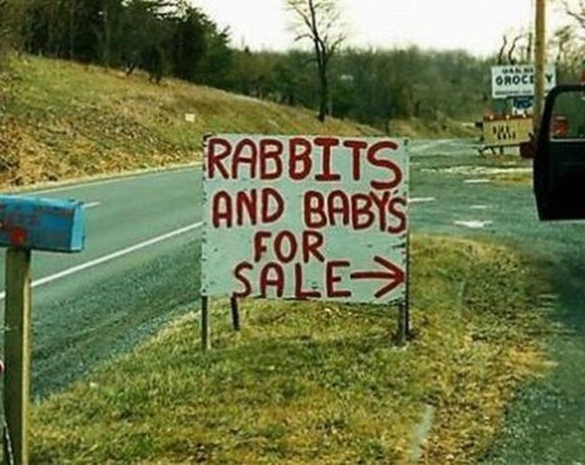 I'll take a rabbit and two babies to go