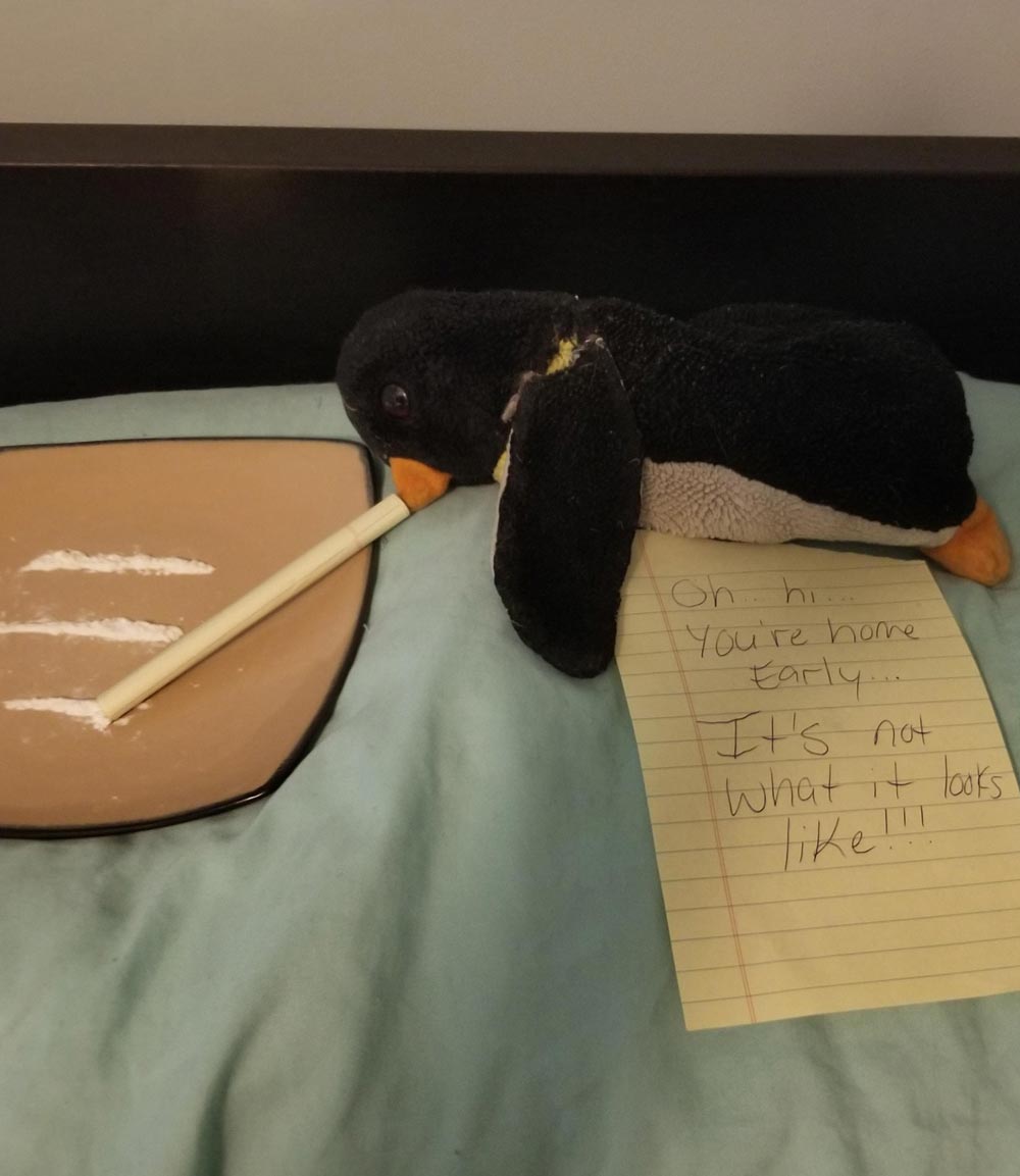 My girlfriend has had this penguin since she was a kid and sleeps with it every night. On days that I spend the night and she works the next morning, I make sure he gets up to shenanigans for her to find when she gets home. Here's today's