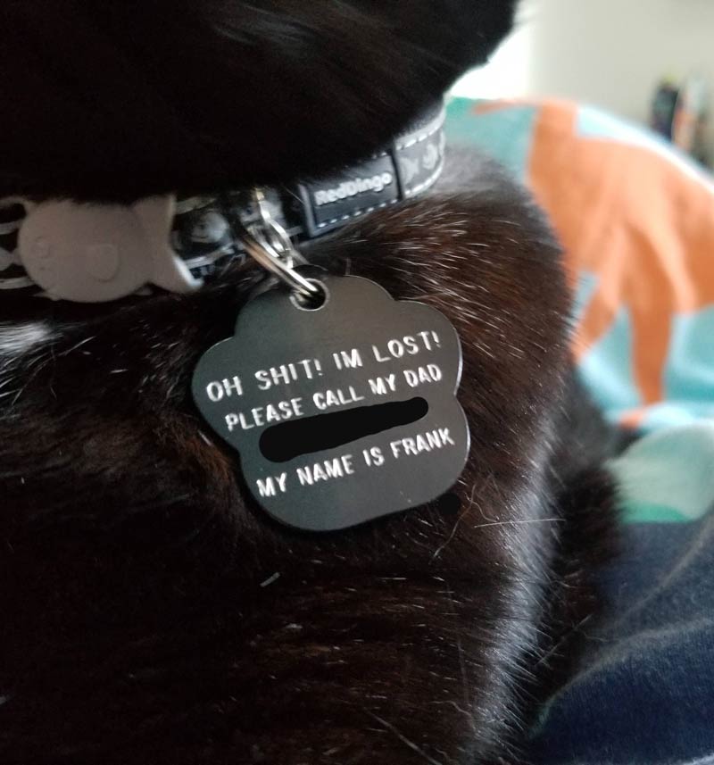 unique cat tags