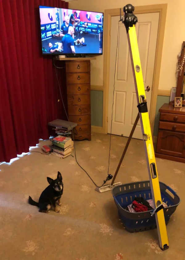 Dad set up the dog camera so he can watch the NRL grand final for free whilst in Thailand!