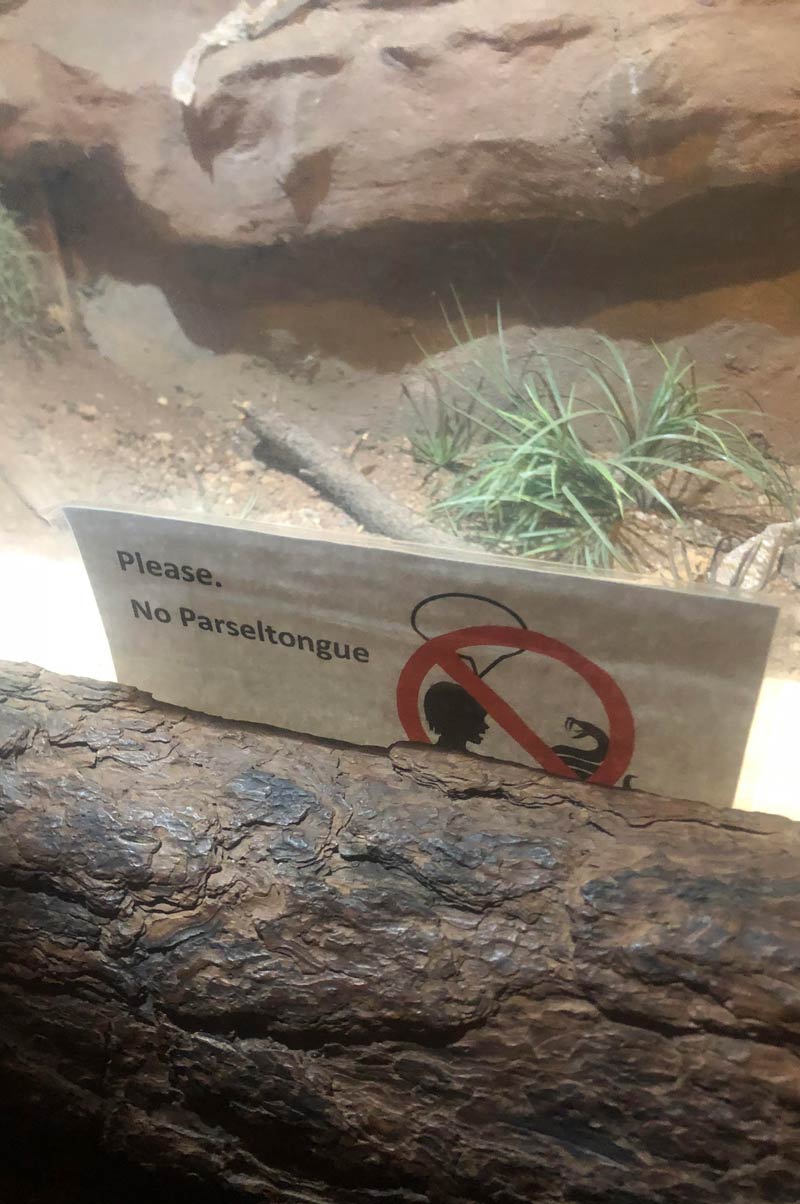 Found at a snake exhibit