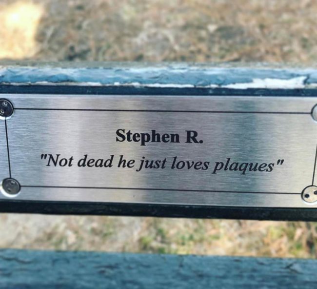 Found in Central Park. Stephen, if you're out there, keep doing you