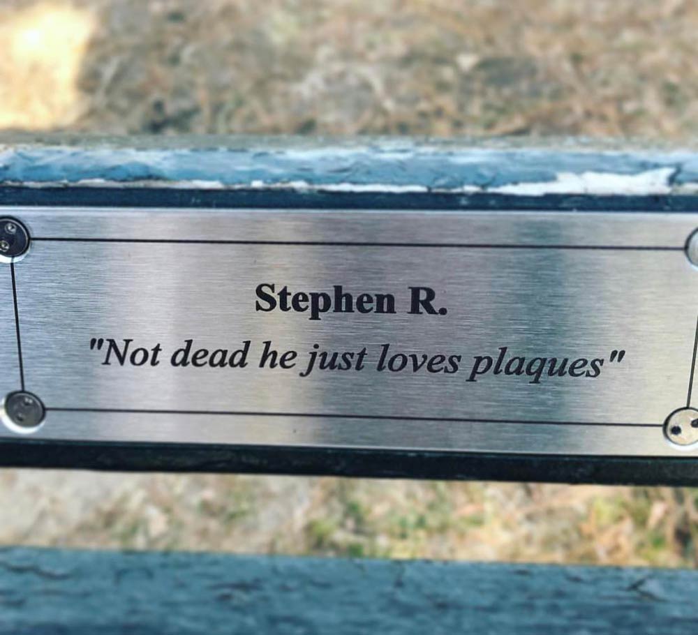 Found in Central Park. Stephen, if you're out there, keep doing you