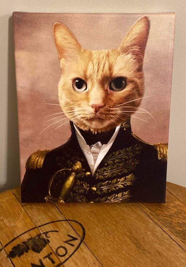 My birthday present a formal canvas portrait of my cat...