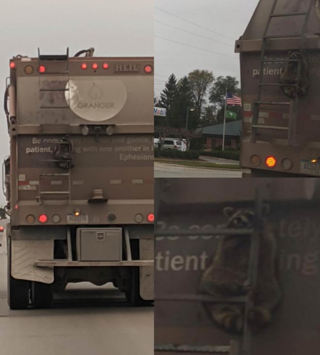 Drove behind this garbage truck today and noticed someone using it as an uber