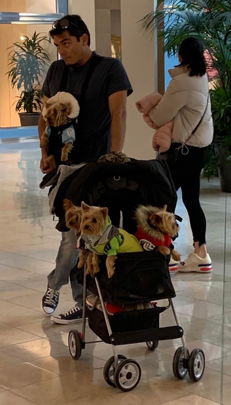 Seen at the mall today