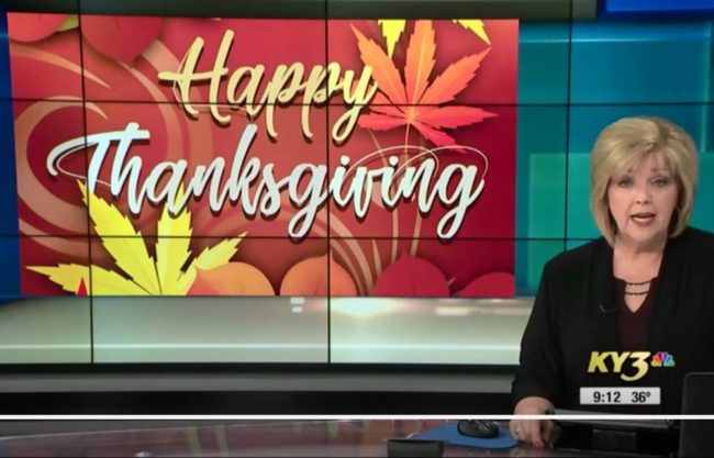 My local news station picked the wrong leaves for their Thanksgiving sign
