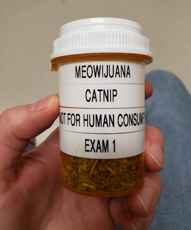 How my local vet labels their catnip