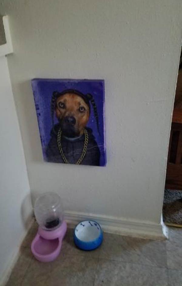 We just moved into a new place and my wife decided to buy something to decorate our puppy's area