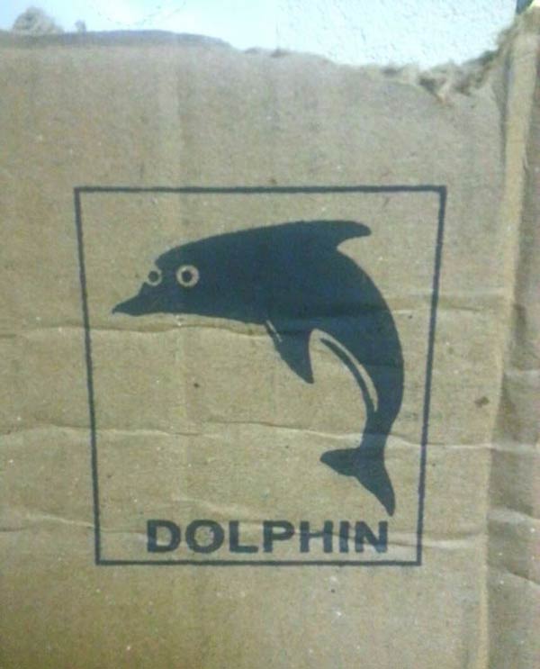 This dolphin has seen something disturbing