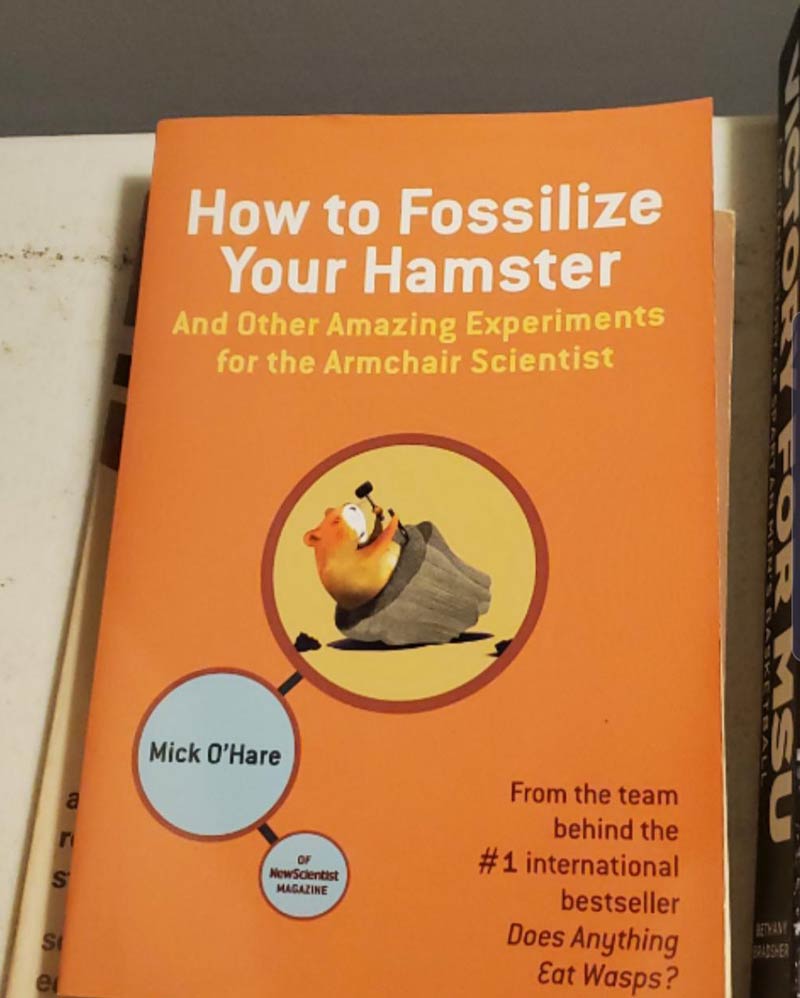 My wife found this book at work..