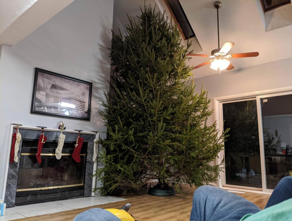 Christmas Tree Too Big For Living Room