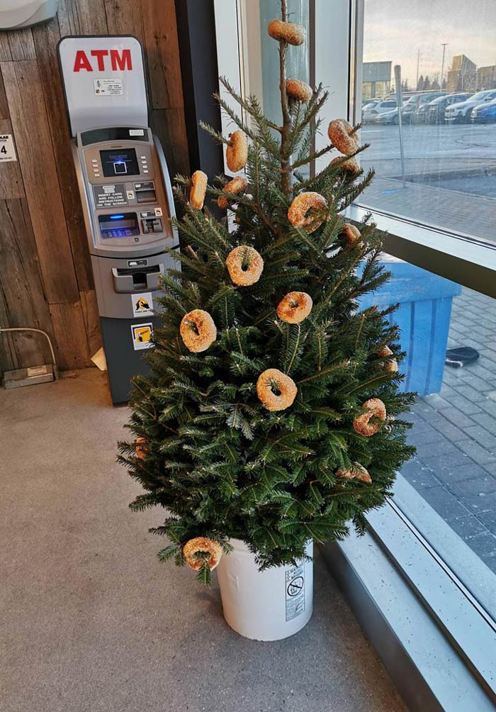 Christmas tree at my local bagel shop
