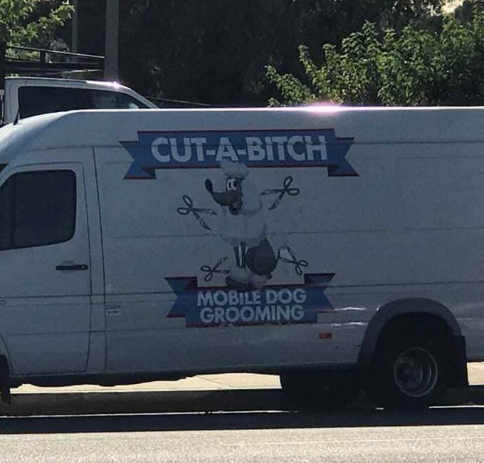 This dog grooming business..