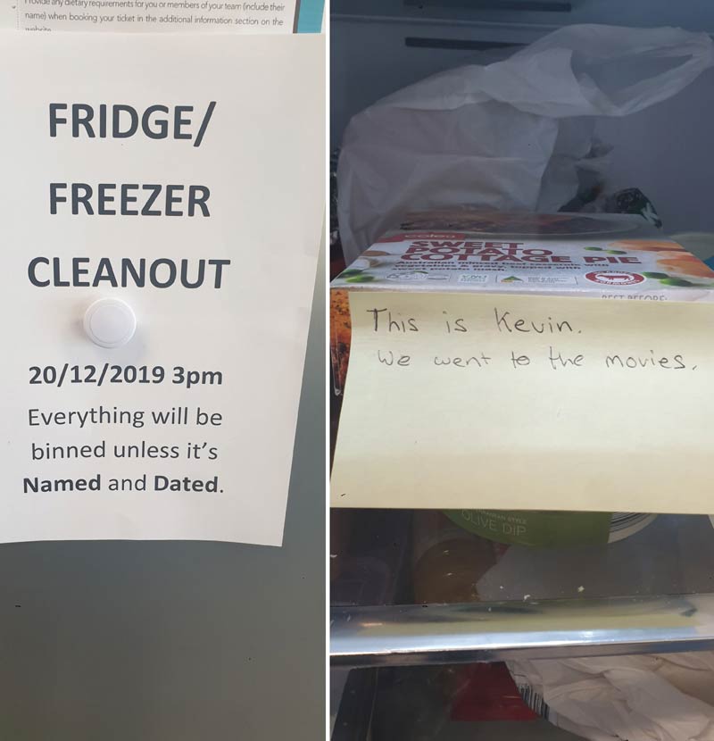 Fridge Freezer Clean-out