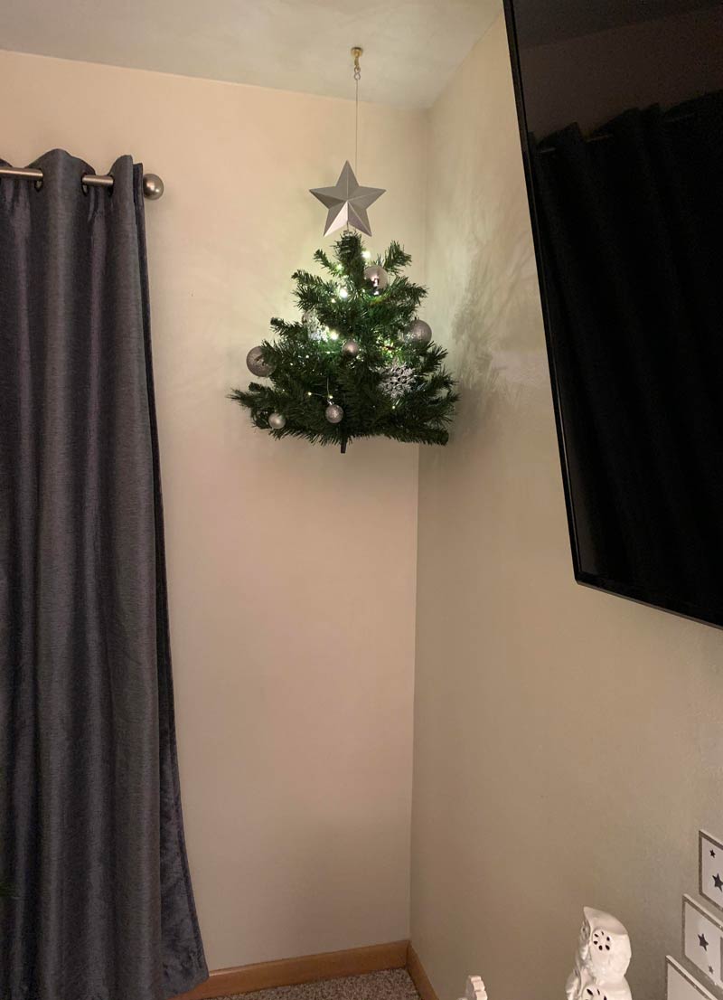 Our cats wouldn’t stop climbing the tree, and my wife had a great idea.. Checkmate buttholes