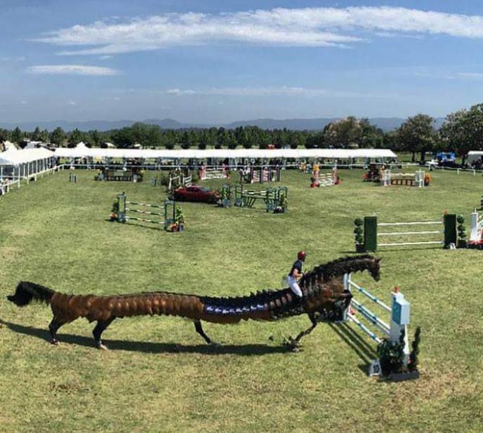 Tried a panorama at the horse show
