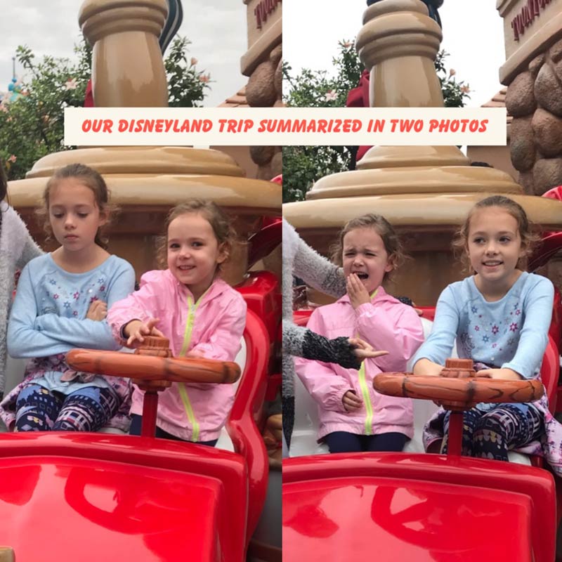 The Real Disneyland Experience