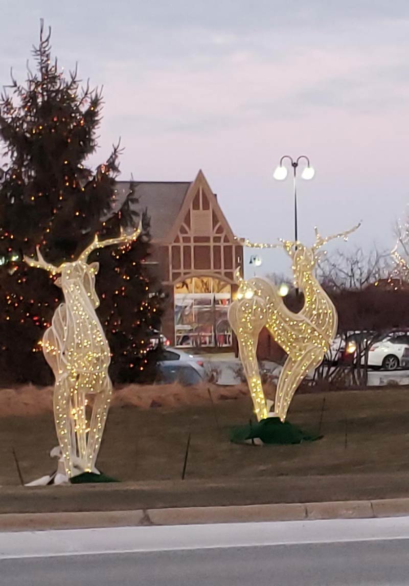These-reindeer-are-thicc