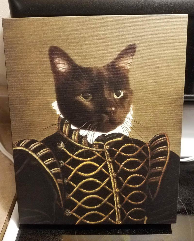 This portrait of our cat was worth every penny