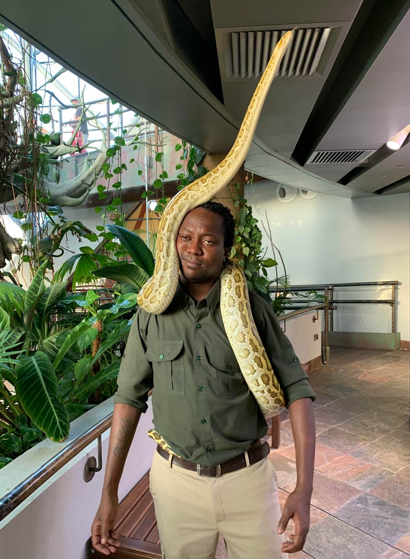 This is the snake handler at The Green Planet in Dubai. He says he loves his job