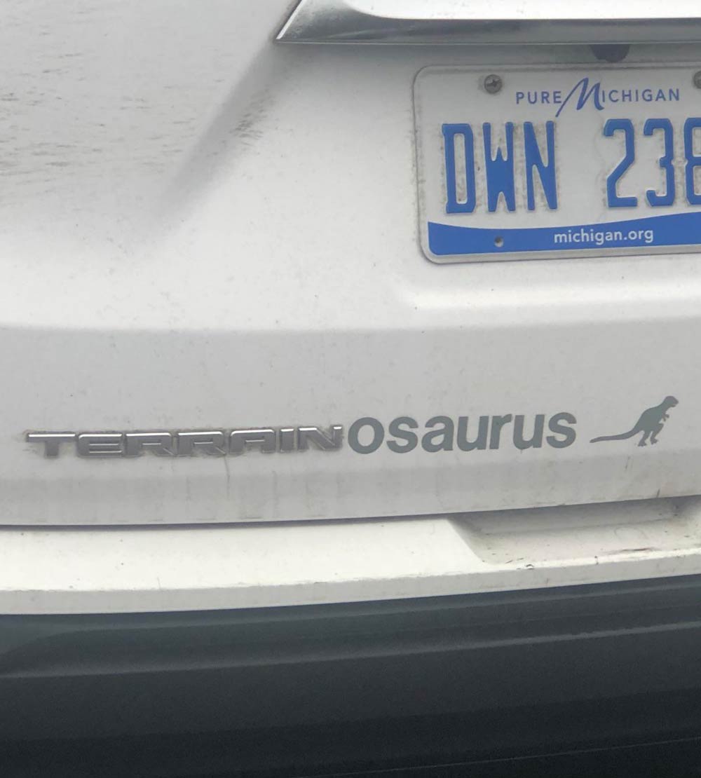 Apparently there's a dinosaur enthusiast at my gym