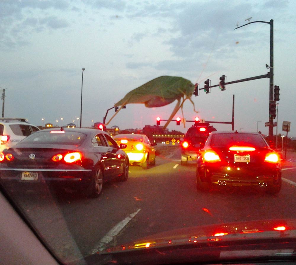 Bug on a windshield looks like a monster wreaking havoc