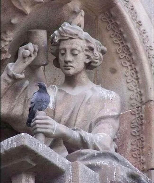 The pigeon's safe, she’s too stoned